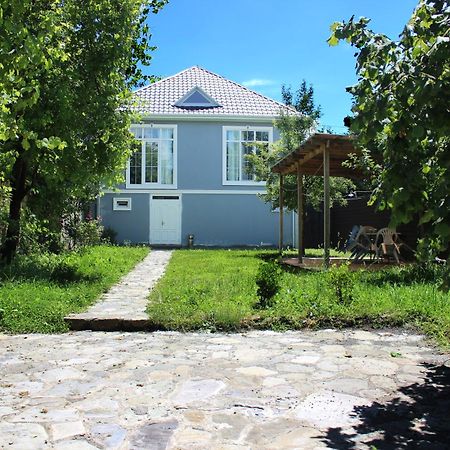 Soft Villa Габала Екстер'єр фото